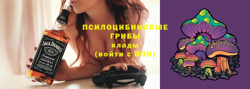 Псилоцибиновые грибы GOLDEN TEACHER  купить наркотики сайты  Вилюйск 